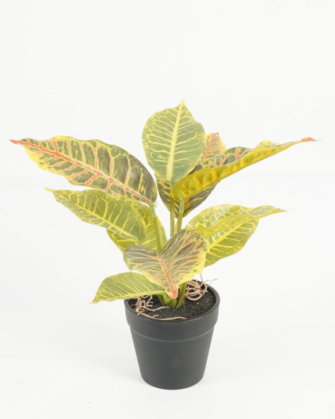 Artificial Table Plants 25*25*25cm Leaf in PP pot/10 lvs GS-70223011 Potted Flowers&Plants YeahFlower is one of Chinese leading OEM manufacturers and exporters , supplying the silk flowers, wholesale artificial trees