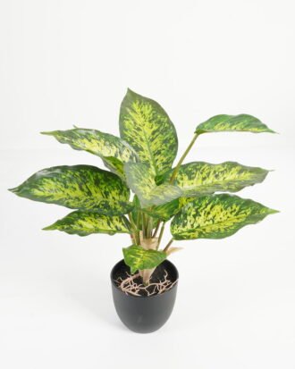 Artificial Table Plants 28*28*36cm Leaf in PP pot/14 lvs GS-70223010-G5 Potted Flowers&Plants YeahFlower is one of Chinese leading OEM manufacturers and exporters , supplying the silk flowers, wholesale artificial trees