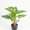 Artificial Table Plants Leaf in PP pot 14 lvs GS-70223010-G5_7 Artificial Table Plants 28*28*36cm Leaf in PP pot/14 lvs GS-70223010-G5 Potted Flowers&Plants YeahFlower is one of Chinese leading OEM manufacturers and exporters , supplying the silk flowers, wholesale artificial trees