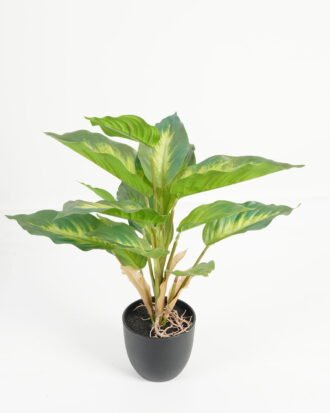 Artificial Table Plants 28*28*36cm Leaf in PP pot/14 lvs GS-70223010-G5 Potted Flowers&Plants YeahFlower is one of Chinese leading OEM manufacturers and exporters , supplying the silk flowers, wholesale artificial trees