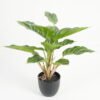 Artificial Table Plants Leaf in PP pot 14 lvs GS-70223010-G6_4 Artificial Table Plants 28*28*36cm Leaf in PP pot/14 lvs GS-70223010-G6 Potted Flowers&Plants YeahFlower is one of Chinese leading OEM manufacturers and exporters , supplying the silk flowers, wholesale artificial trees