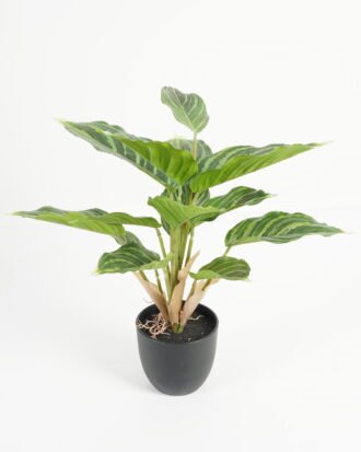 Artificial Table Plants 28*28*36cm Leaf in PP pot/14 lvs GS-70223010-G6 Potted Flowers&Plants YeahFlower is one of Chinese leading OEM manufacturers and exporters , supplying the silk flowers, wholesale artificial trees