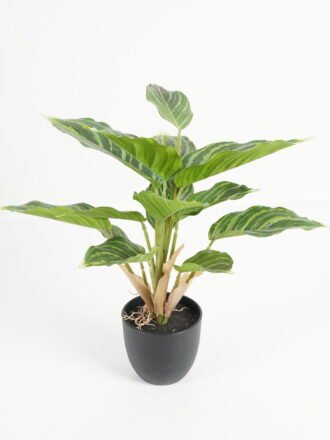 Artificial Table Plants 28*28*36cm Leaf in PP pot/14 lvs GS-70223010-G5 Potted Flowers&Plants 3,000+ sqm showroom with thousands of artificial flowers, plants & trees ready for global sourcing.