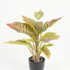 Artificial Table Plants Leaf in PP pot 14 lvs GS-70223010-G6_5 Artificial Table Plants 28*28*36cm Leaf in PP pot/14 lvs GS-70223010-G6 Potted Flowers&Plants YeahFlower is one of Chinese leading OEM manufacturers and exporters , supplying the silk flowers, wholesale artificial trees