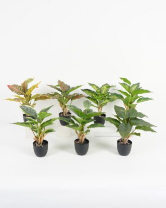 Artificial Table Plants 28*28*36cm Leaf in PP pot/14 lvs GS-70223010 Potted Flowers&Plants YeahFlower is one of Chinese leading OEM manufacturers and exporters , supplying the silk flowers, wholesale artificial trees