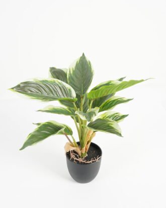 Artificial Table Plants 28*28*36cm Leaf in PP pot/14 lvs GS-70223010 Potted Flowers&Plants YeahFlower is one of Chinese leading OEM manufacturers and exporters , supplying the silk flowers, wholesale artificial trees