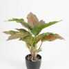 Artificial Table Plants 28*28*36cm Leaf in PP pot/14 lvs GS-70223010 Potted Flowers&Plants YeahFlower is one of Chinese leading OEM manufacturers and exporters , supplying the silk flowers, wholesale artificial trees