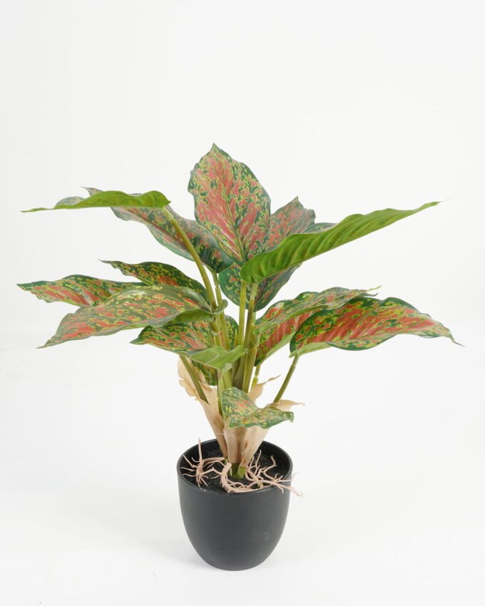 Artificial Table Plants 28*28*36cm Leaf in PP pot/14 lvs GS-70223010 Potted Flowers&Plants YeahFlower is one of Chinese leading OEM manufacturers and exporters , supplying the silk flowers, wholesale artificial trees