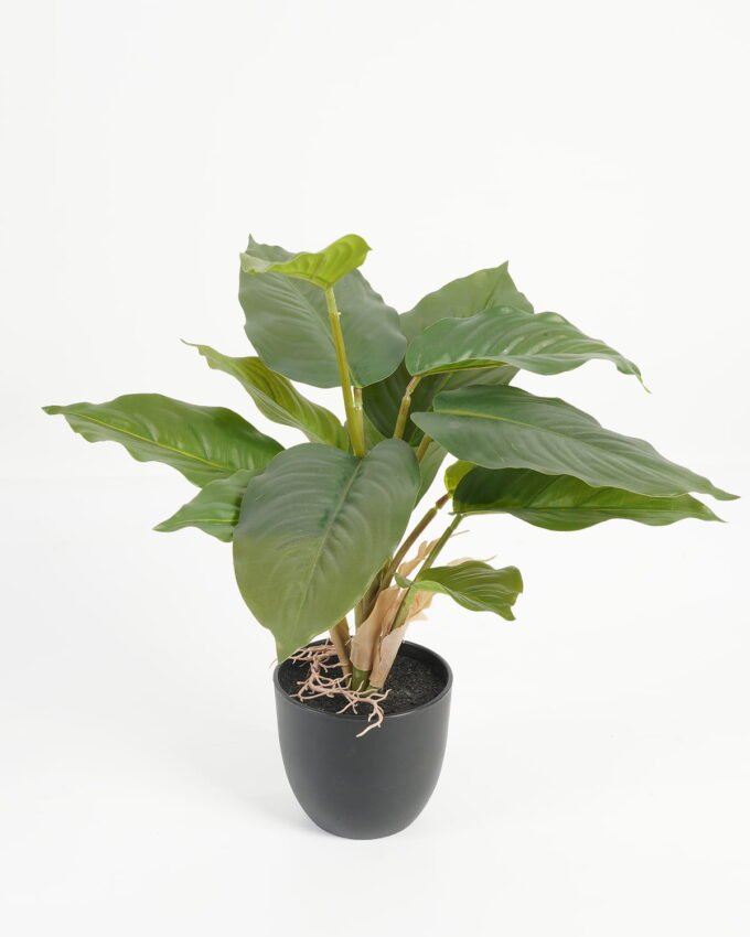 Artificial Table Plants 28*28*36cm Leaf in PP pot/14 lvs GS-70223010 Potted Flowers&Plants YeahFlower is one of Chinese leading OEM manufacturers and exporters , supplying the silk flowers, wholesale artificial trees