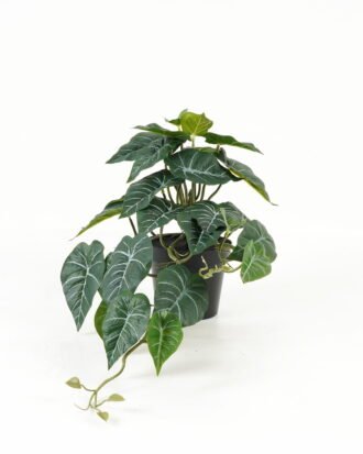 Artificial Table Plants 50*25*25cm Leaf in PP pot GS-03323115 Potted Flowers&Plants YeahFlower is one of Chinese leading OEM manufacturers and exporters , supplying the silk flowers, wholesale artificial trees