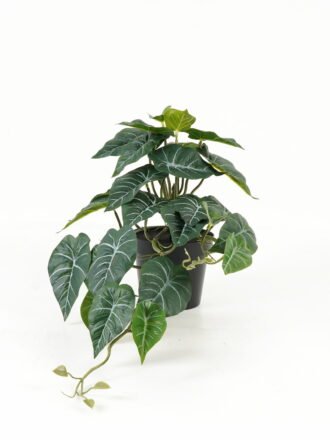 Artificial Table Plants 13*13*20cm Artificial plant in Ceramic pot GS-59123017 Potted Flowers&Plants 3,000+ sqm showroom with thousands of artificial flowers, plants & trees ready for global sourcing.