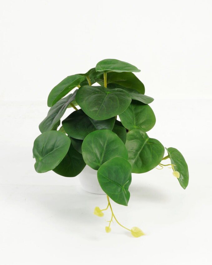 Artificial Table Plants 25*18*17cm Pilea peperomioides /Ivs22 GS-70123012 Potted Flowers&Plants YeahFlower is one of Chinese leading OEM manufacturers and exporters , supplying the silk flowers, wholesale artificial trees