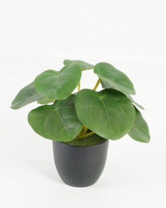 Artificial Table Plants 15*15*15cm Pilea peperomioides /Ivs9 GS-70123028 Potted Flowers&Plants YeahFlower is one of Chinese leading OEM manufacturers and exporters , supplying the silk flowers, wholesale artificial trees