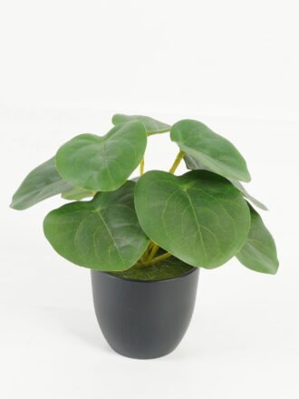 Artificial Table Plants 18*18*15cm Taro /Ivs9 GS-70123029 Potted Flowers&Plants 3,000+ sqm showroom with thousands of artificial flowers, plants & trees ready for global sourcing.