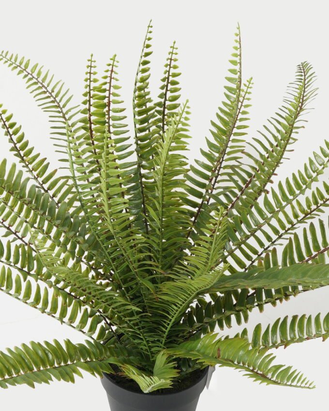 Artificial Table Plants Plant 31 in PP pot GS-57623002_1 Artificial Table Plants 35*35*47cm Plant *31 in PP pot GS-57623002 Potted Flowers&Plants YeahFlower is one of Chinese leading OEM manufacturers and exporters , supplying the silk flowers, wholesale artificial trees