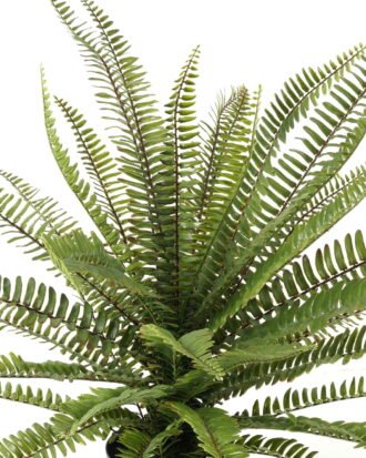 Artificial Table Plants 48*48*64cm Plant *36 in PP pot GS-57623001 Potted Flowers&Plants YeahFlower is one of Chinese leading OEM manufacturers and exporters , supplying the silk flowers, wholesale artificial trees