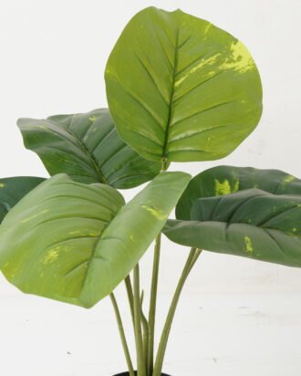 Artificial Table Plants 55*55*54cm Rohdea japonica *6 in PP pot GS-69423015 Potted Flowers&Plants YeahFlower is one of Chinese leading OEM manufacturers and exporters , supplying the silk flowers, wholesale artificial trees