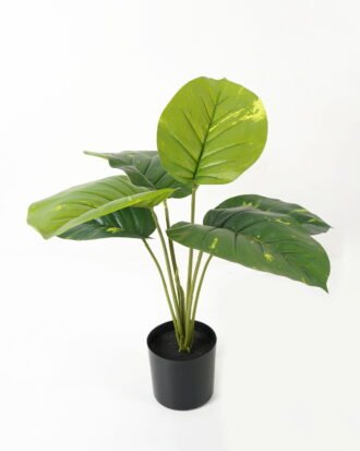Artificial Table Plants 55*55*54cm Rohdea japonica *6 in PP pot GS-69423015 Potted Flowers&Plants YeahFlower is one of Chinese leading OEM manufacturers and exporters , supplying the silk flowers, wholesale artificial trees