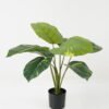 Artificial Table Plants Rohdea japonica 8 in PP pot GS-69423018_6 Artificial Table Plants 55*55*59cm Rohdea japonica *8 in PP pot GS-69423018 Potted Flowers&Plants YeahFlower is one of Chinese leading OEM manufacturers and exporters , supplying the silk flowers, wholesale artificial trees
