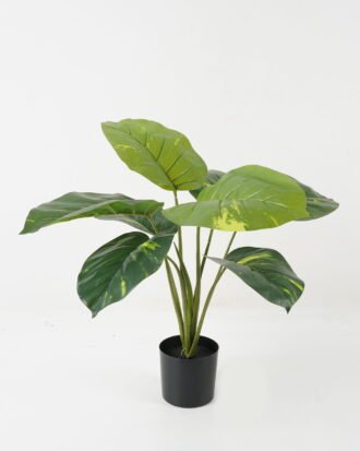Artificial Table Plants 55*55*59cm Rohdea japonica *8 in PP pot GS-69423018 Potted Flowers&Plants YeahFlower is one of Chinese leading OEM manufacturers and exporters , supplying the silk flowers, wholesale artificial trees