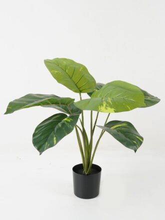 Artificial Table Plants 55*55*53cm Taro leaf *8 in PP pot GS-69423017 Potted Flowers&Plants 3,000+ sqm showroom with thousands of artificial flowers, plants & trees ready for global sourcing.
