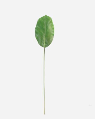Artificial Table Plants 14*73CM Rubber leaf GS-3910043 Potted Flowers&Plants YeahFlower is one of Chinese leading OEM manufacturers and exporters , supplying the silk flowers, wholesale artificial trees