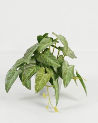 Artificial Table Plants 25*20*17cm Taro /Ivs22 GS-70123014 Potted Flowers&Plants YeahFlower is one of Chinese leading OEM manufacturers and exporters , supplying the silk flowers, wholesale artificial trees