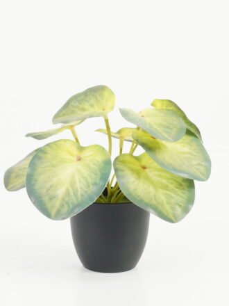 Artificial Table Plants 15*15*15cm Pilea peperomioides /Ivs9 GS-70123028 Potted Flowers&Plants 3,000+ sqm showroom with thousands of artificial flowers, plants & trees ready for global sourcing.