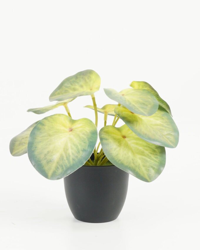 Artificial Table Plants 17*17*15cm Taro /Ivs9 GS-70123027 Potted Flowers&Plants YeahFlower is one of Chinese leading OEM manufacturers and exporters , supplying the silk flowers, wholesale artificial trees