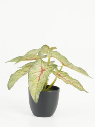 Artificial Table Plants 15*15*15cm Pilea peperomioides /Ivs9 GS-70123028 Potted Flowers&Plants 3,000+ sqm showroom with thousands of artificial flowers, plants & trees ready for global sourcing.