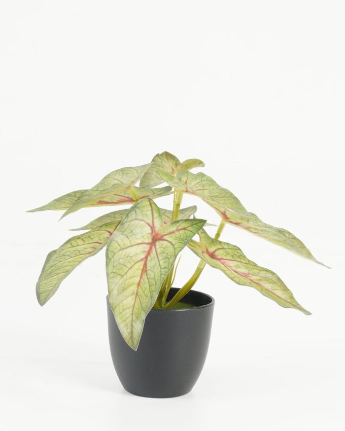 Artificial Table Plants 18*18*15cm Taro /Ivs9 GS-70123029 Potted Flowers&Plants YeahFlower is one of Chinese leading OEM manufacturers and exporters , supplying the silk flowers, wholesale artificial trees
