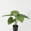Artificial Table Plants 50*50*46cm Taro leaf *6 in PP pot GS-69423014 Potted Flowers&Plants YeahFlower is one of Chinese leading OEM manufacturers and exporters , supplying the silk flowers, wholesale artificial trees