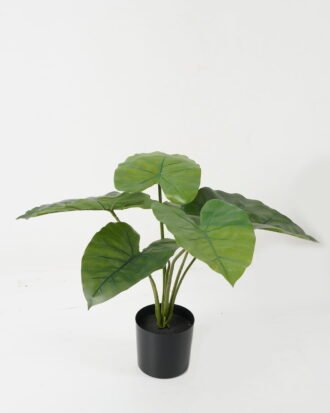Artificial Table Plants 50*50*46cm Taro leaf *6 in PP pot GS-69423014 Potted Flowers&Plants YeahFlower is one of Chinese leading OEM manufacturers and exporters , supplying the silk flowers, wholesale artificial trees