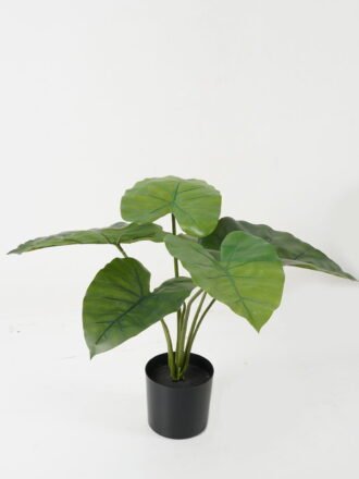 Artificial Table Plants 48*48*50cm Leaf *6 in PP pot GS-69423013 Potted Flowers&Plants 3,000+ sqm showroom with thousands of artificial flowers, plants & trees ready for global sourcing.