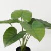 Artificial Table Plants 50*50*46cm Taro leaf *6 in PP pot GS-69423014 Potted Flowers&Plants YeahFlower is one of Chinese leading OEM manufacturers and exporters , supplying the silk flowers, wholesale artificial trees