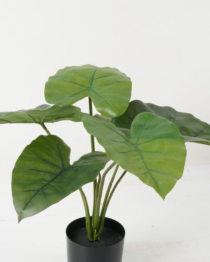 Artificial Table Plants 50*50*46cm Taro leaf *6 in PP pot GS-69423014 Potted Flowers&Plants YeahFlower is one of Chinese leading OEM manufacturers and exporters , supplying the silk flowers, wholesale artificial trees