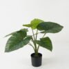 Artificial Table Plants Taro leaf 8 in PP pot GS-69423017_6 Artificial Table Plants 55*55*53cm Taro leaf *8 in PP pot GS-69423017 Potted Flowers&Plants YeahFlower is one of Chinese leading OEM manufacturers and exporters , supplying the silk flowers, wholesale artificial trees