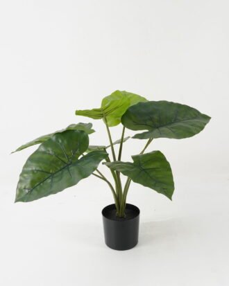 Artificial Table Plants 55*55*53cm Taro leaf *8 in PP pot GS-69423017 Potted Flowers&Plants YeahFlower is one of Chinese leading OEM manufacturers and exporters , supplying the silk flowers, wholesale artificial trees