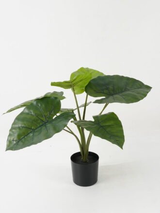 Artificial Table Plants 45*45*53cm Leaf *8 in PP pot GS-69423016 Potted Flowers&Plants 3,000+ sqm showroom with thousands of artificial flowers, plants & trees ready for global sourcing.