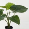 Artificial Table Plants Taro leaf 8 in PP pot GS-69423017_7 Artificial Table Plants 55*55*53cm Taro leaf *8 in PP pot GS-69423017 Potted Flowers&Plants YeahFlower is one of Chinese leading OEM manufacturers and exporters , supplying the silk flowers, wholesale artificial trees