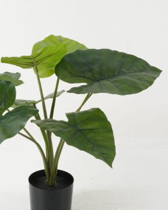 Artificial Table Plants 55*55*53cm Taro leaf *8 in PP pot GS-69423017 Potted Flowers&Plants YeahFlower is one of Chinese leading OEM manufacturers and exporters , supplying the silk flowers, wholesale artificial trees