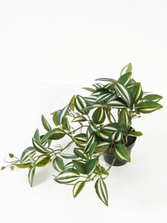Artificial Table Plants 50*25*25cm Tradescantia Zebrina in PP pot GS-03323113 Potted Flowers&Plants 3,000+ sqm showroom with thousands of artificial flowers, plants & trees ready for global sourcing.