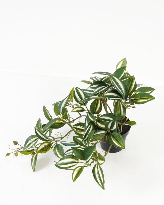 Artificial Table Plants 50*25*25cm Tradescantia Zebrina in PP pot GS-03323112 Potted Flowers&Plants YeahFlower is one of Chinese leading OEM manufacturers and exporters , supplying the silk flowers, wholesale artificial trees