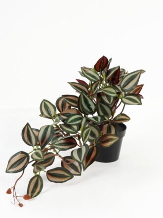 Artificial Table Plants 50*25*25cm Tradescantia Zebrina in PP pot GS-03323112 Potted Flowers&Plants 3,000+ sqm showroom with thousands of artificial flowers, plants & trees ready for global sourcing.