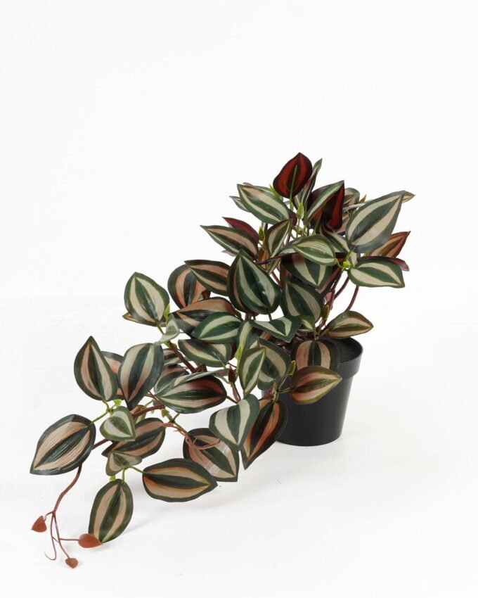 Artificial Table Plants 50*25*25cm Tradescantia Zebrina in PP pot GS-03323113 Potted Flowers&Plants YeahFlower is one of Chinese leading OEM manufacturers and exporters , supplying the silk flowers, wholesale artificial trees