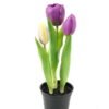 Artificial Table Plants 9*9*24cm Tulip *3 in PP  pot GS-24523024-Z1 Potted Flowers&Plants YeahFlower is one of Chinese leading OEM manufacturers and exporters , supplying the silk flowers, wholesale artificial trees