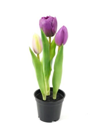 Artificial Table Plants 9*9*24cm Tulip *3 in PP  pot GS-24523024-Y2 Potted Flowers&Plants 3,000+ sqm showroom with thousands of artificial flowers, plants & trees ready for global sourcing.