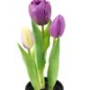 Artificial Table Plants 9*9*24cm Tulip *3 in PP  pot GS-24523024-Z1 Potted Flowers&Plants YeahFlower is one of Chinese leading OEM manufacturers and exporters , supplying the silk flowers, wholesale artificial trees