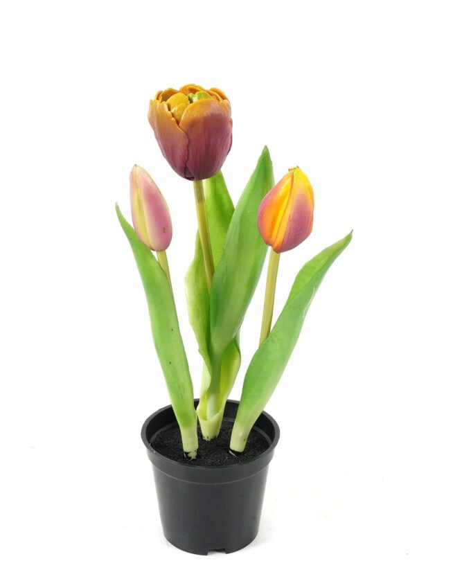 Artificial Table Plants 9*9*24cm Tulip *3 in PP  pot GS-24523024-Z3 Potted Flowers&Plants YeahFlower is one of Chinese leading OEM manufacturers and exporters , supplying the silk flowers, wholesale artificial trees