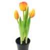 Artificial Table Plants Tulip 3 in PP pot GS-24523024_3 Artificial Table Plants 9*9*24cm Tulip *3 in PP pot GS-24523024 Potted Flowers&Plants YeahFlower is one of Chinese leading OEM manufacturers and exporters , supplying the silk flowers, wholesale artificial trees